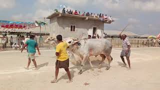 కొండయ్య స్వామి ఓల్డ్ క్యాటగిరి విభాగానికి 1 va jatha [upl. by Egin47]