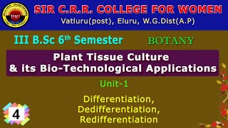 4 BSc 36  Botany  Plant Tissue Culture  Differentiation Dedifferentiation Redifferentiation [upl. by Quartas818]