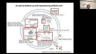 BuildaCell seminar Kosuke Fujishima Expanding the reconstituted cellfree TXTL system [upl. by Melvina523]