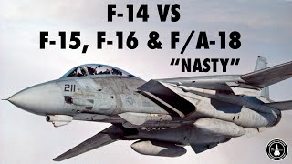 F14 vs F15 F16 amp FA18  Mike quotNastyquot Manazir Full [upl. by Wallach313]