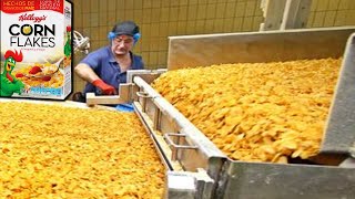 COMO se HACEN los CEREALES de MAÍZ CORN FLAKES🥣 Como se FABRICAN los CEREALES para el DESAYUNO [upl. by Tisdale]