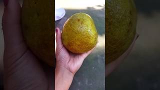 Pomelo fruit pomelofruit shortvideo ytshorts [upl. by Tneicniv]