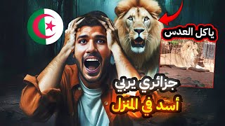 جزائري يربي اسد في المنزل  غرداية ؟ [upl. by Svirad450]