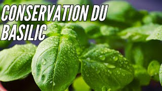 Comment Conserver le Basilic pendant plusieurs mois Tuto cuisine [upl. by Eyaf]