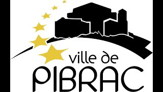 Conseil Municipal 8 février 2022  Ville de Pibrac [upl. by Gunning478]