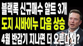 비트코인 리플 도지코인 이더리움 블랙록 신규매수 알트 3개 도지 시바이누 다음 상승 4월 반감기 지나면 더 오른다 왜 [upl. by Deyes44]