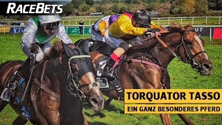 Torquator Tasso Deutschlands ArcSieger [upl. by Bluefield]