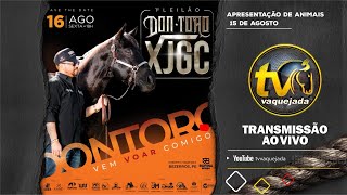 APRESENTAÇÃO DOS ANIMAIS  1º LEILÃO DON TORO XJGC [upl. by Penni748]