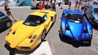 Ferrari Enzo Multicolour RARE COMBO [upl. by Oinotna905]