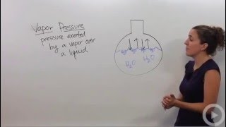 Vapor Pressure [upl. by Ojillek]