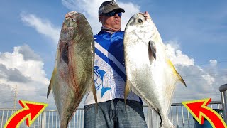 FISHING FOR MONSTER PERMITS AT THE FLORIDA KEYS BRIDGE [upl. by Urbai]