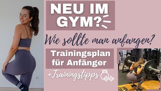 TRAININGSPLAN FÜR ANFÄNGER  Wie und mit welchen Übungen sollte man starten I BEGINNERS GUIDE [upl. by Einial]