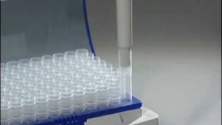 How to use the Forward Pipetting technique with Eppendorf Research® plus mechanical pipettes [upl. by Fagaly91]