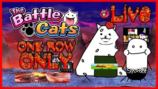 We gonna get Crazed Tank I PROMISE fr this time The Battle Cats 1 Row Only Challenge Livestream [upl. by Arny]