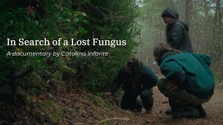 In Search of a Lost Fungus  Short film [upl. by Eiramyma]