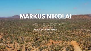 Markus Nikolai  Bushes Norman Cook Remix [upl. by Marino]