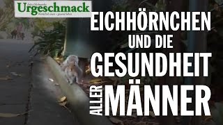 Eichhörnchen und die Gesundheit aller Männer [upl. by Aeslehc]