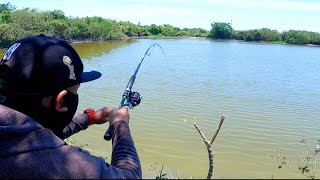 EP48  CATCH AND COOK TILAPIA TRADITIONAL FISHING [upl. by Theurich]