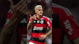 Camisa 9 do Flamengo nosso pitbull de raça [upl. by Erdnaet]