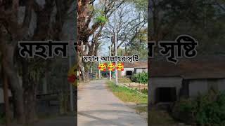 মহান আল্লাহর সৃষ্টি 🥰🥰 আগে sistir allah age আল্লাহ সৃষ্টির muftinazrulislamkasemi duet [upl. by Eahsed760]