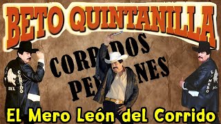 Beto Quintanilla El Mero Leon Del Corrido  Corrridos Perrones [upl. by Aneloj]