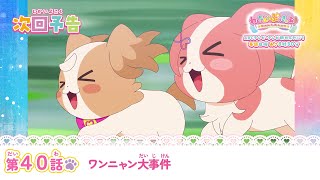 わんだふるぷりきゅあ！ 第40話 予告「ワンニャン大事件」 [upl. by Kunkle703]