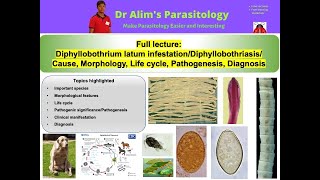 Cestode Family Diphyllobothriidae Diphyllobothrium latum DiphyllobothriasisFull lectureDr Alim [upl. by Ecarret]