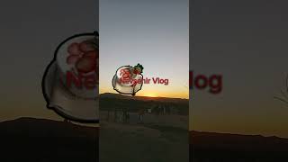 Aşko kuşko görlüm diyorum anlamıyorsun 😡😎🤬 music song cover newmusic spotify love eating fyp [upl. by Vinni646]