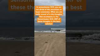 Sensorimotor OCD ocd mentalillness mentalhealth [upl. by Araf]