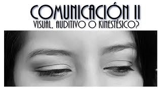 COMUNICACIÃ“N II VISUAL AUDITIVO O KINESTÃ‰SICO VIDEO ANIMADO [upl. by Engenia]