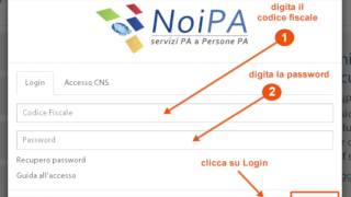 NoiPa cedolino febbraio 2017 è online Login password area riservata [upl. by Niatirb]