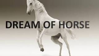 DREAM OF HORSE MEANINGS INTERPRETATIONS [upl. by Ranip]