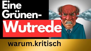 Die Wutrede eines Grünen für deinen schönen Sonntag [upl. by Eldrid]