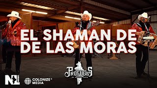 Prófugos de Nuevo León  El Shaman De Las Moras Video Oficial [upl. by Enal75]