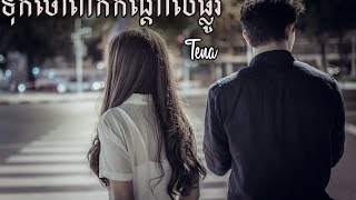 Tena  ទុកចោលពាក់កណ្តាលផ្លូវCover New Melody [upl. by Hailat]