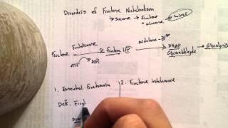 Disorders of Fructose Metabolism [upl. by Hauge]