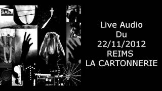 Damien Saez 22 novembre 2012  Reims  La Cartonnerie 14  Les fils dArtaud [upl. by Annahpos69]