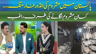 INDOOR MASHROOM FARMING IN PAKISTAN  FARMERS ARE ENCOURAGED TO GROW MASHROOMS  ABN NEWS [upl. by Hsejar756]