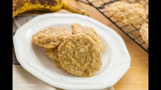 3 Ingredient Coconut Cookies VEGAN amp DAIRYFREE [upl. by Eerazed]