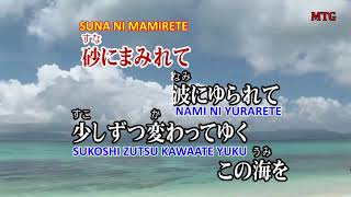 島人ぬ宝 Shimamtyu nu Takara Karaokê  Romaji [upl. by Itra481]