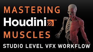 TRAILER Master Houdini Muscle Simulation StudioLevel VFX Workflow  33 Hours of Pro Training [upl. by Asiek]