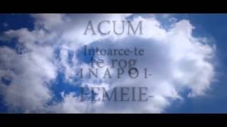 DMC  Nu ai idee Lyrics VIDEO [upl. by Aleicarg]