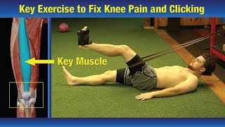 Key Exercise to Fix Knee Pain amp Clicking Answers are Here  Patella Tendonitis [upl. by Lednew]