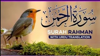 SURAH RAHMAN Ep 33 TURJUMA KI SATH QARE AL ABDUL [upl. by Agnes]