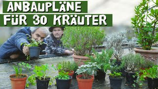 Anbauanleitung für 30 wichtige Kräuter  Kräutergarten Topf Hochbeet  Petersilie Basilikum [upl. by Harsho]