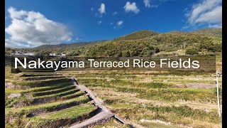 Nakayama Senmaida Thousand Rice Terraces [upl. by Semreh]