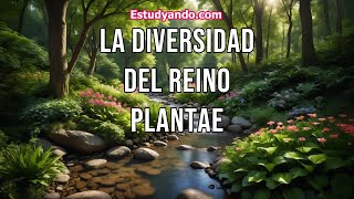 La diversidad del Reino Plantae [upl. by Ttekcirc]