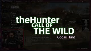 Check Out This Canada Goose Hunt In COTW [upl. by Alliber172]