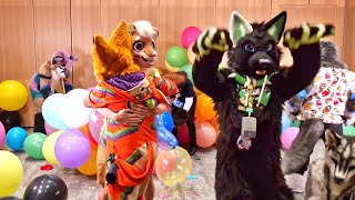 Balloon Panel Cleanup  Eurofurence 2024 🎈💥 [upl. by Averyl]