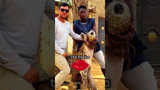 The man kiss the Hyena💋💋💋vlog [upl. by Isiahi119]